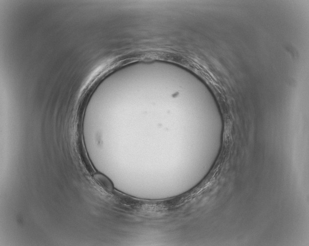 X0000115760101200912041419