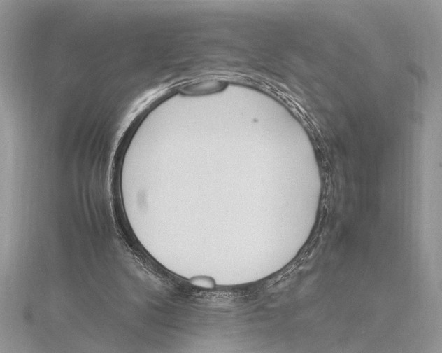 X0000115760104200912041419