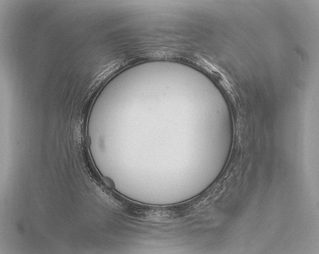 X0000115760105200912041419