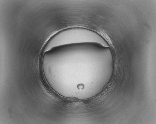 X0000115760108200912041419