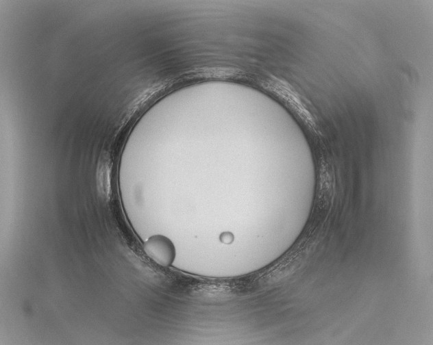 X0000115760110200912041419