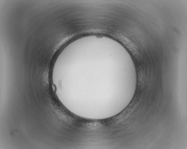 X0000115760112200912041419