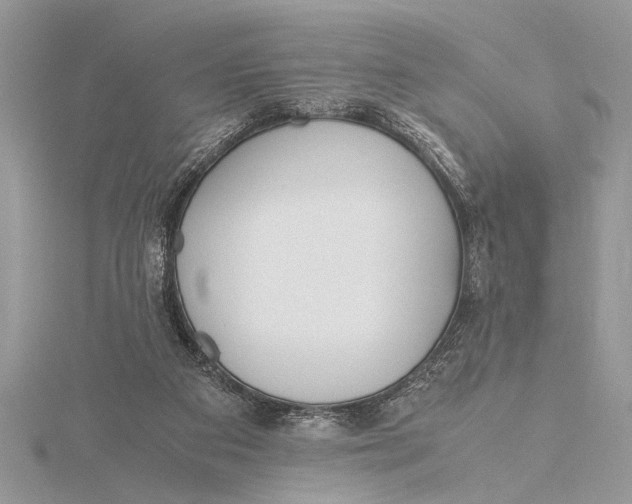 X0000115760113200912041419