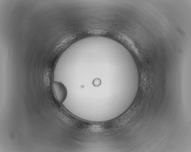 X0000115760114200912041419