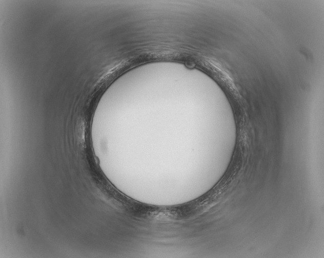 X0000115760115200912041419