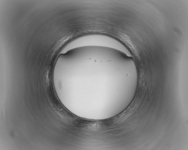 X0000115760116200912041419