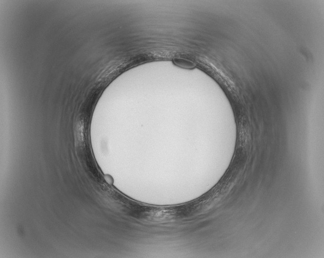 X0000115760117200912041418