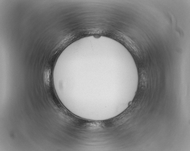 X0000115760118200912041418