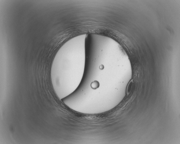 X0000115760121200912041418