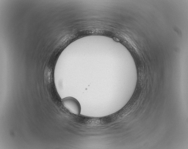 X0000115760123200912041418