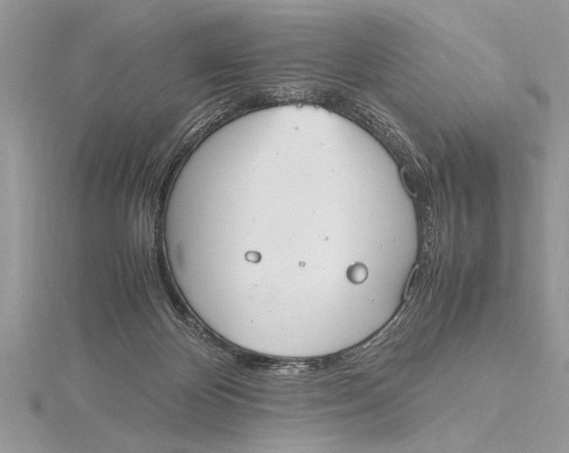 X0000115760124200912041418