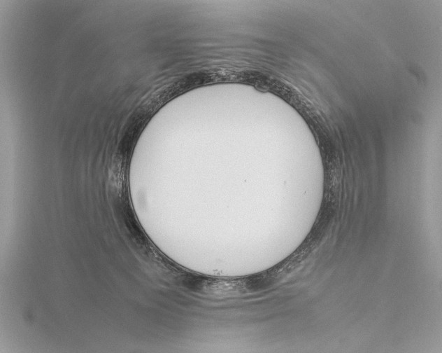 X0000115760129200912041418