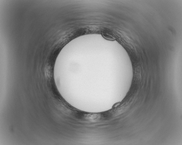 X0000115760135200912041418