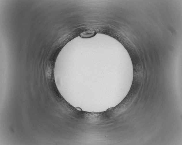 X0000115760139200912041418