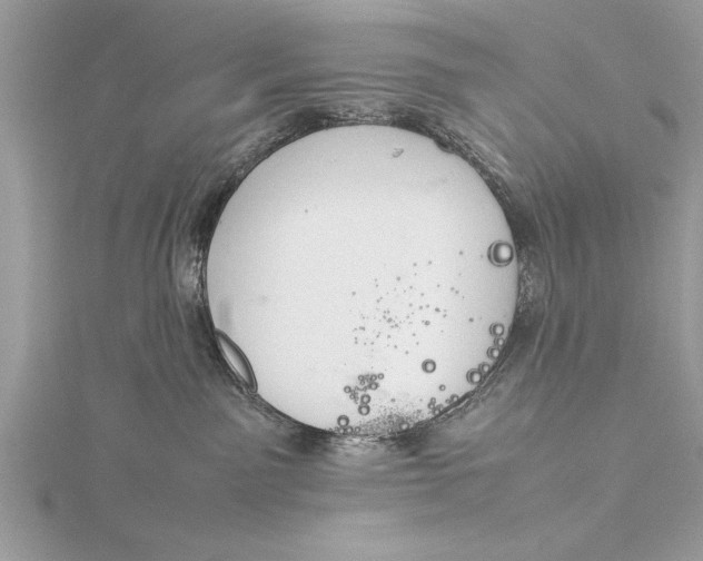 X0000115760141200912041418