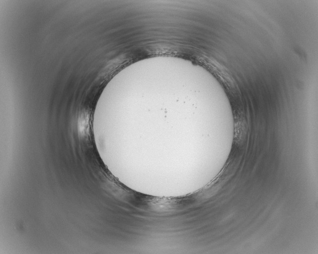 X0000115760142200912041418