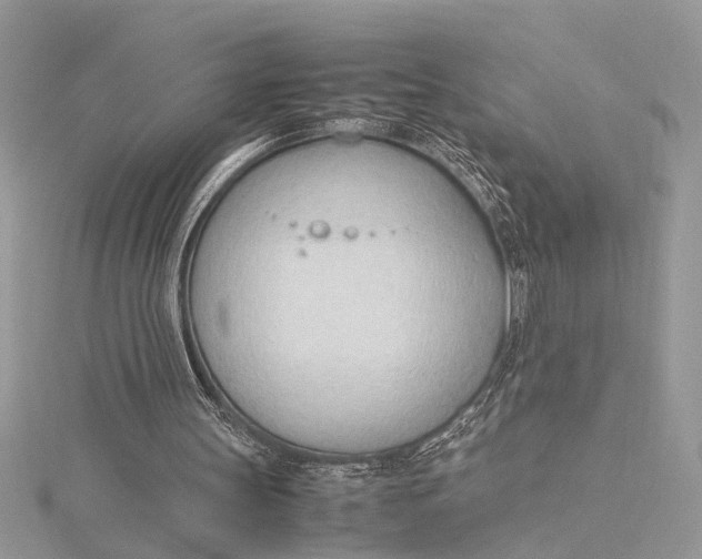 X0000115760147200912041418