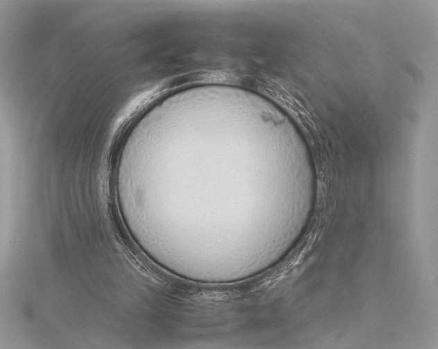 X0000115760149200912041418