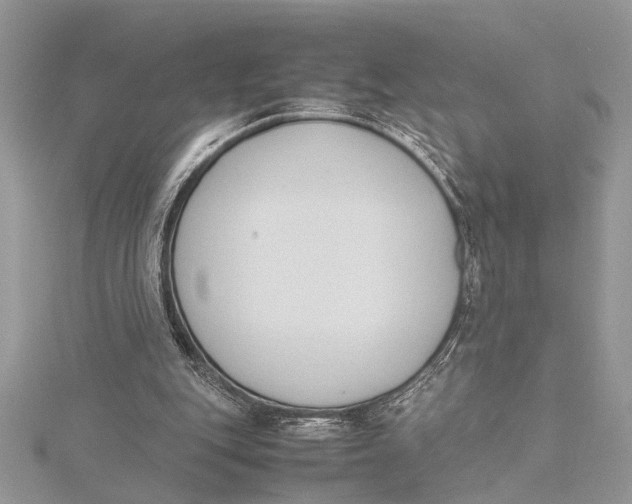 X0000115760151200912041418