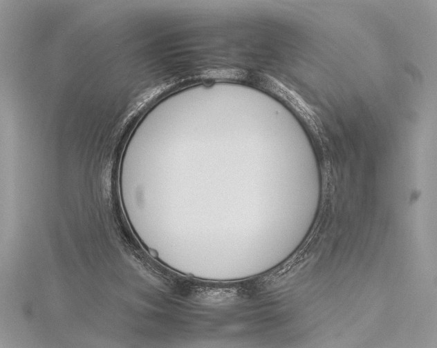 X0000115760155200912041418