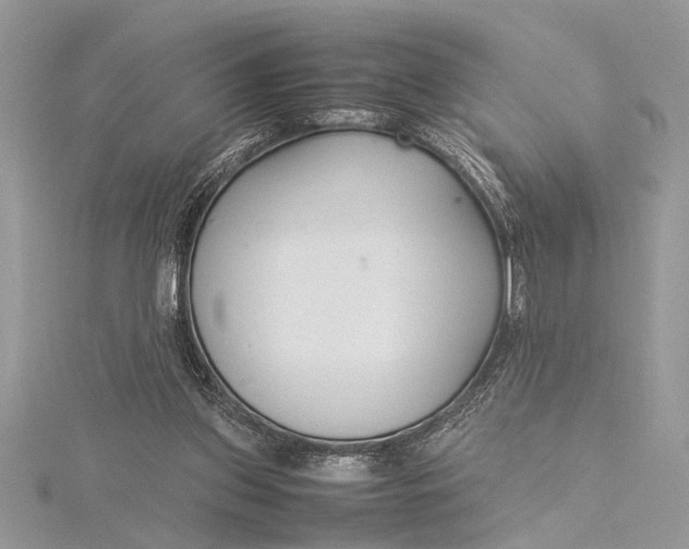 X0000115760157200912041418