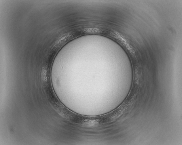 X0000115760161200912041418