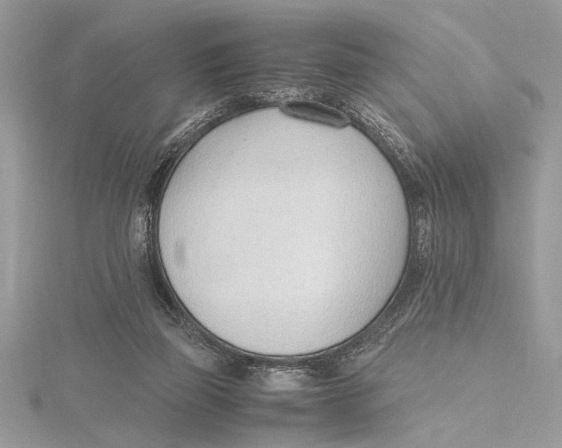 X0000115760165200912041418