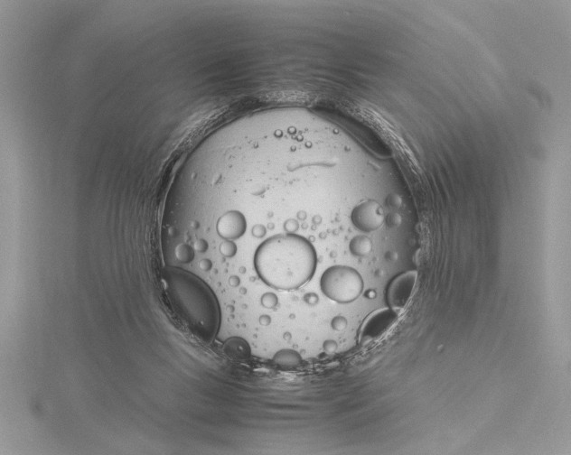 X0000115760167200912041418