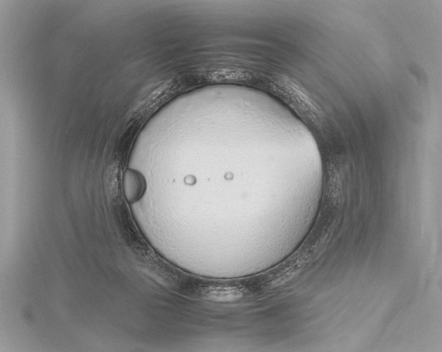 X0000115760169200912041418