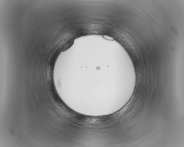 X0000115760174200912041418