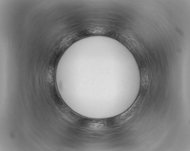 X0000115760175200912041418