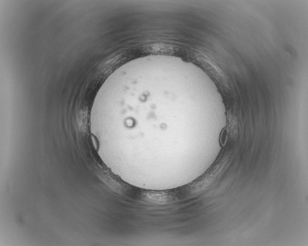 X0000115760189200912041418