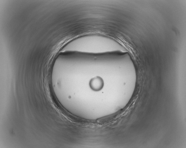 X0000115760193200912041418