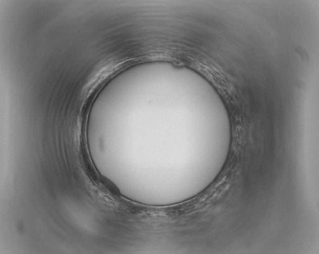 X0000115760194200912041418