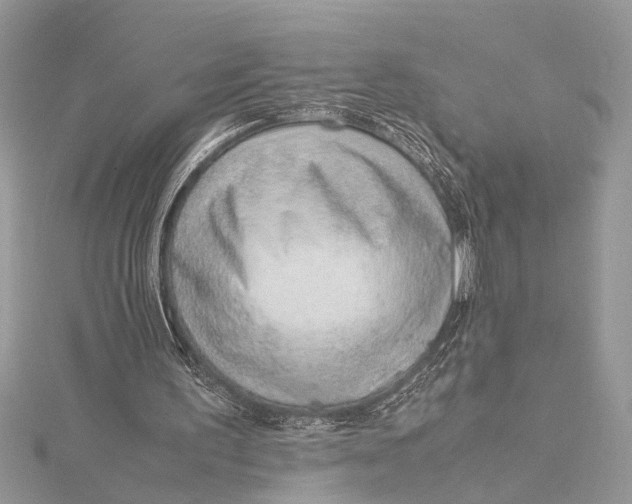 X0000115760195200912041418