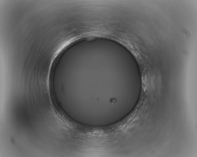 X0000115760196200912041417