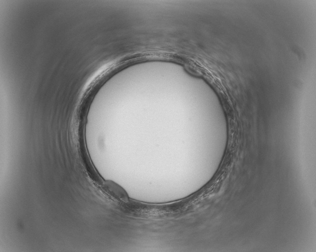 X0000115760197200912041417