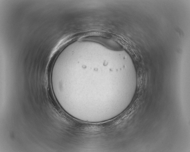 X0000115760198200912041417