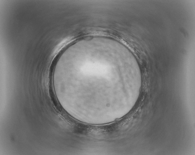 X0000115760199200912041417