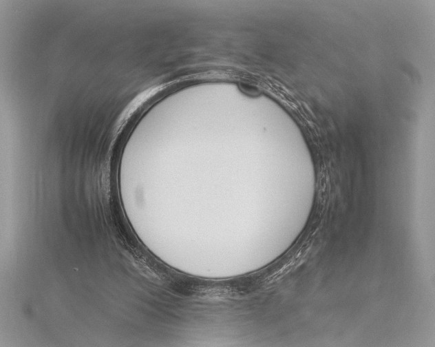 X0000115760200200912041417