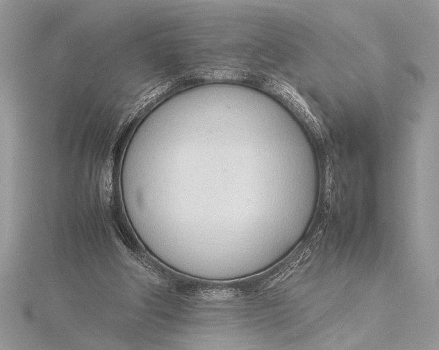 X0000115760202200912041417