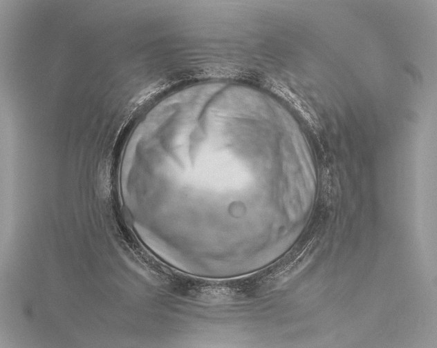 X0000115760203200912041417