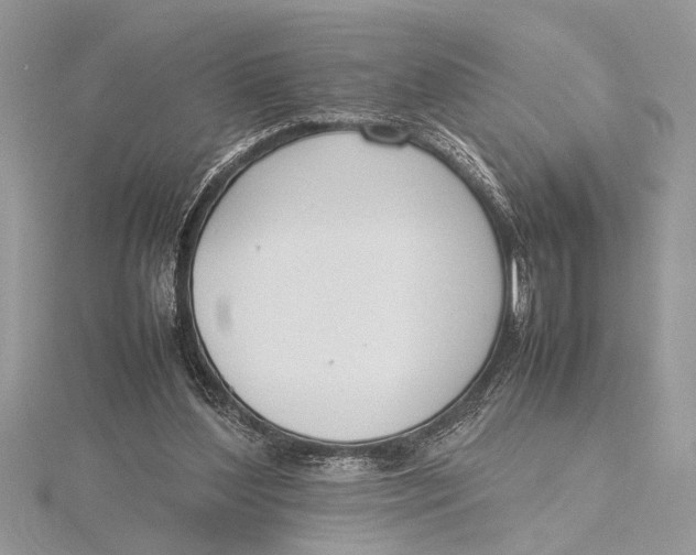 X0000115760204200912041417