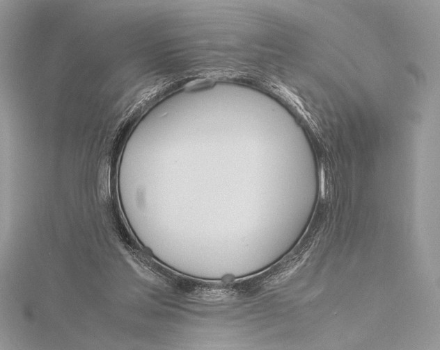 X0000115760205200912041417