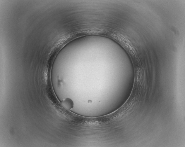 X0000115760206200912041417