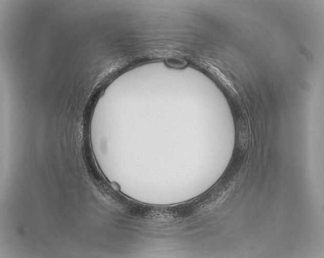 X0000115760207200912041417