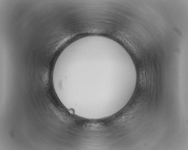 X0000115760208200912041417