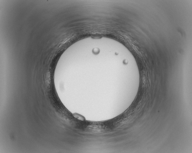 X0000115760211200912041417