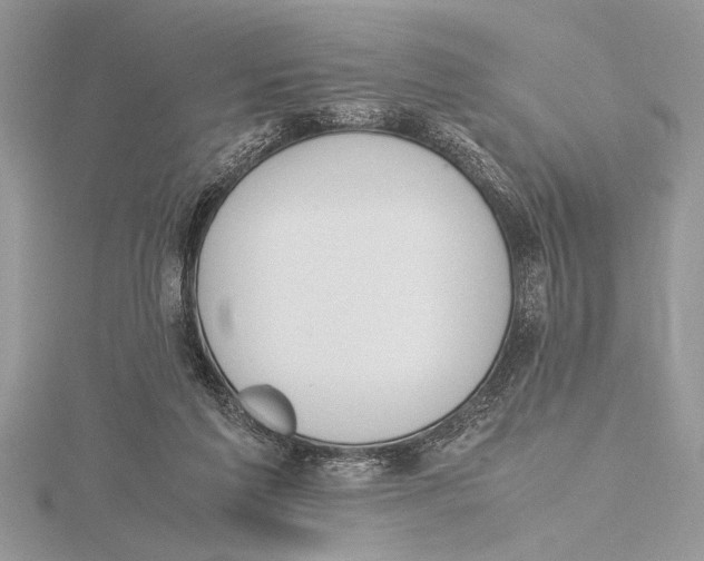 X0000115760213200912041417