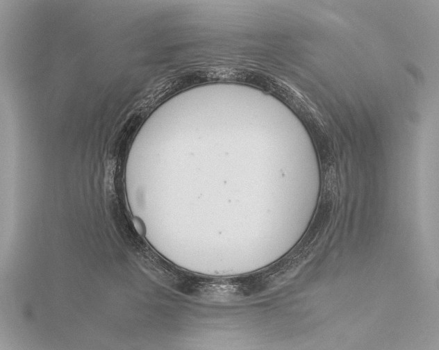 X0000115760217200912041417